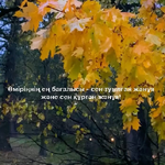 Арайлым Н.