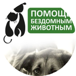 Анна А.