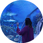 Зиядахон С.