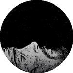 Темірлан Д.