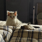 Яна С. (Partners Media Group)