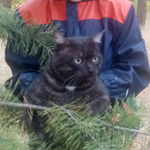 Даниил Д.