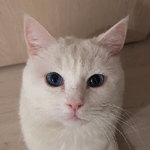 Карина А.