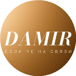 Дамир С.