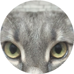 Виктория П.