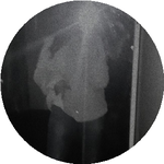 Виктория Г.