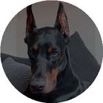 Райымбек М.