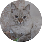 Людмила Ю.