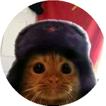 Ратмир Ж.