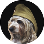 Владислав Д.