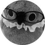 Нұрсауле Ш.