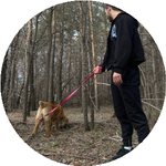 Александр К.