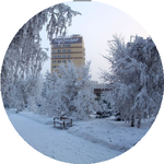 Темирлан Б.