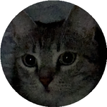 Сәуле И.
