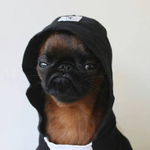 Исмаил Я.