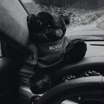 Светлана К.