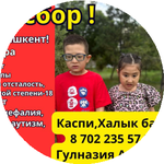 Гулназия А.