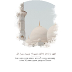 Асемгуль М.