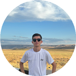Нұрсұлтан Ә.