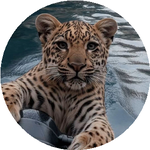 Анастасия И.