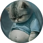 Обид У.