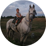 Дінмұханбет З.