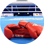 Жандаулет Д.