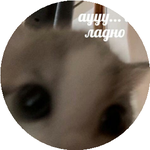 Нурсат Е.