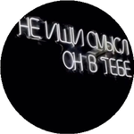 Шыңғыс С.