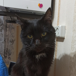 Наурызбек А.