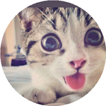 Данагуль Е.