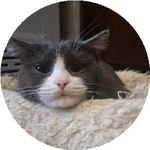 Бердыгали С.