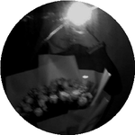 Анастасия Л.