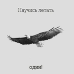 Ренат М.