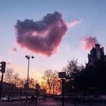 Арайлым Б.