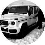 Николай Л. (Синяя птица)