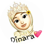 Динара Х.
