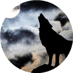 Салтанат К.