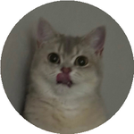 Қолқанат С.
