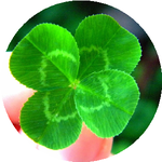 Екатерина К.