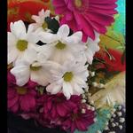 Гульдана Ж.