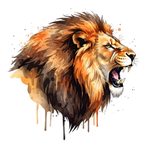 Назарбай К.