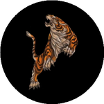 Бекзат Б.