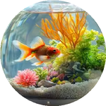 Александра Т.