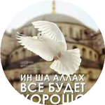 Арыстанбек Ж.