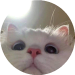 Мұқағали Н.