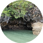 Руслан Б. (Шах)