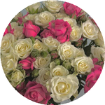 Бақтыгүл Қ.