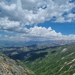 Александра Д.