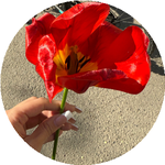 Маржан Қ. (SkyScreen)